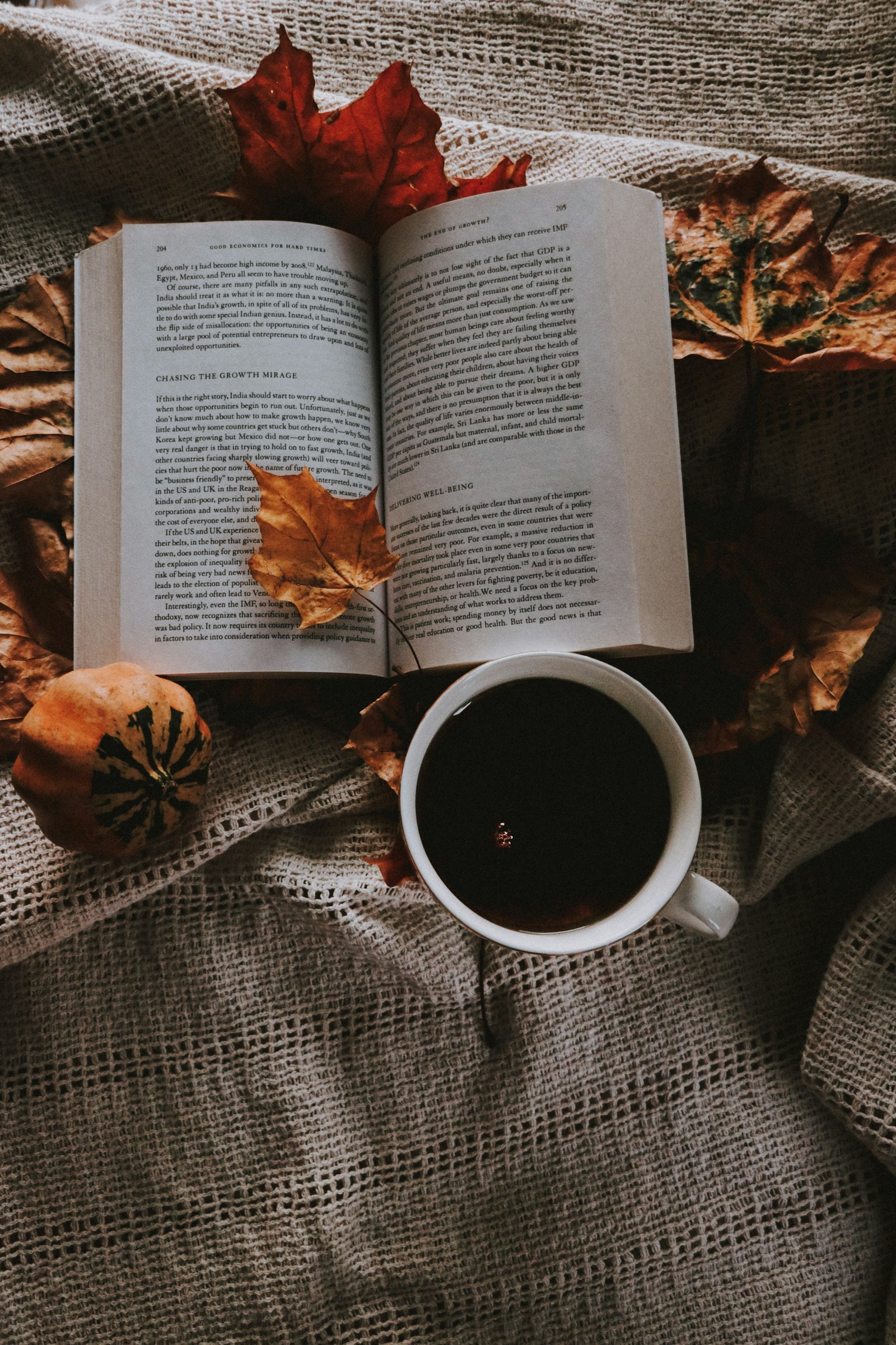 Cozy Reads books