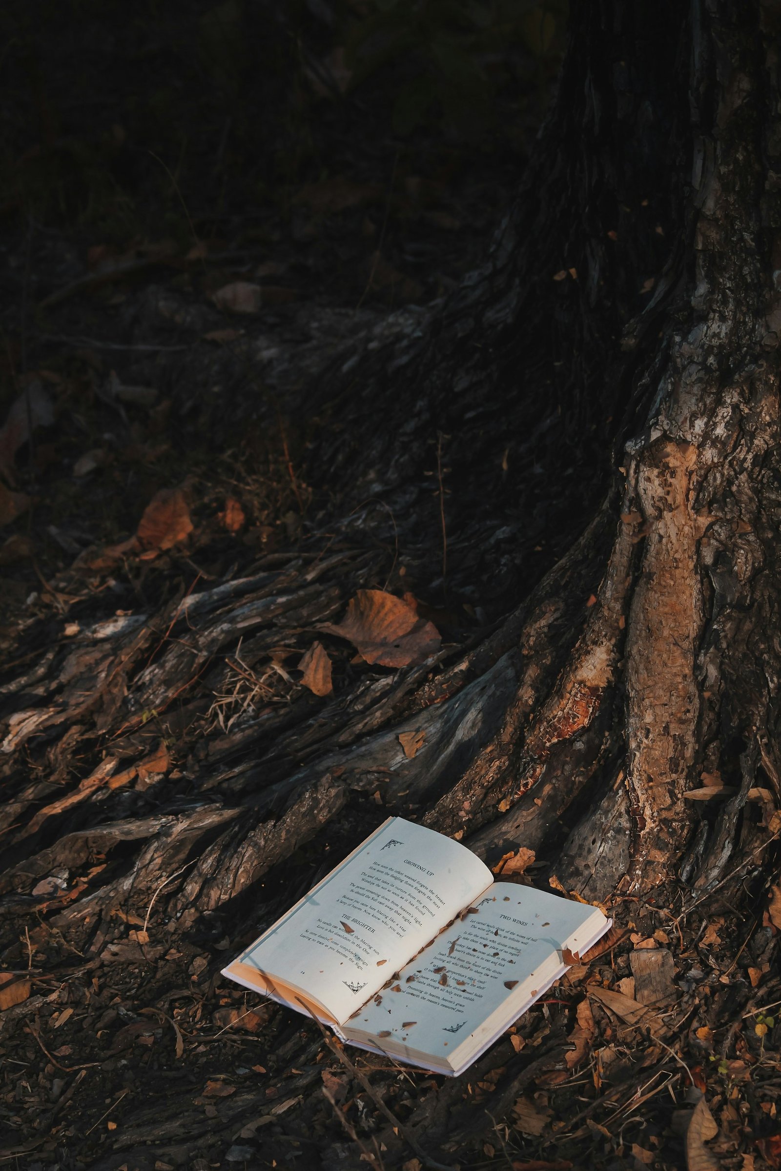 Fantasy books
