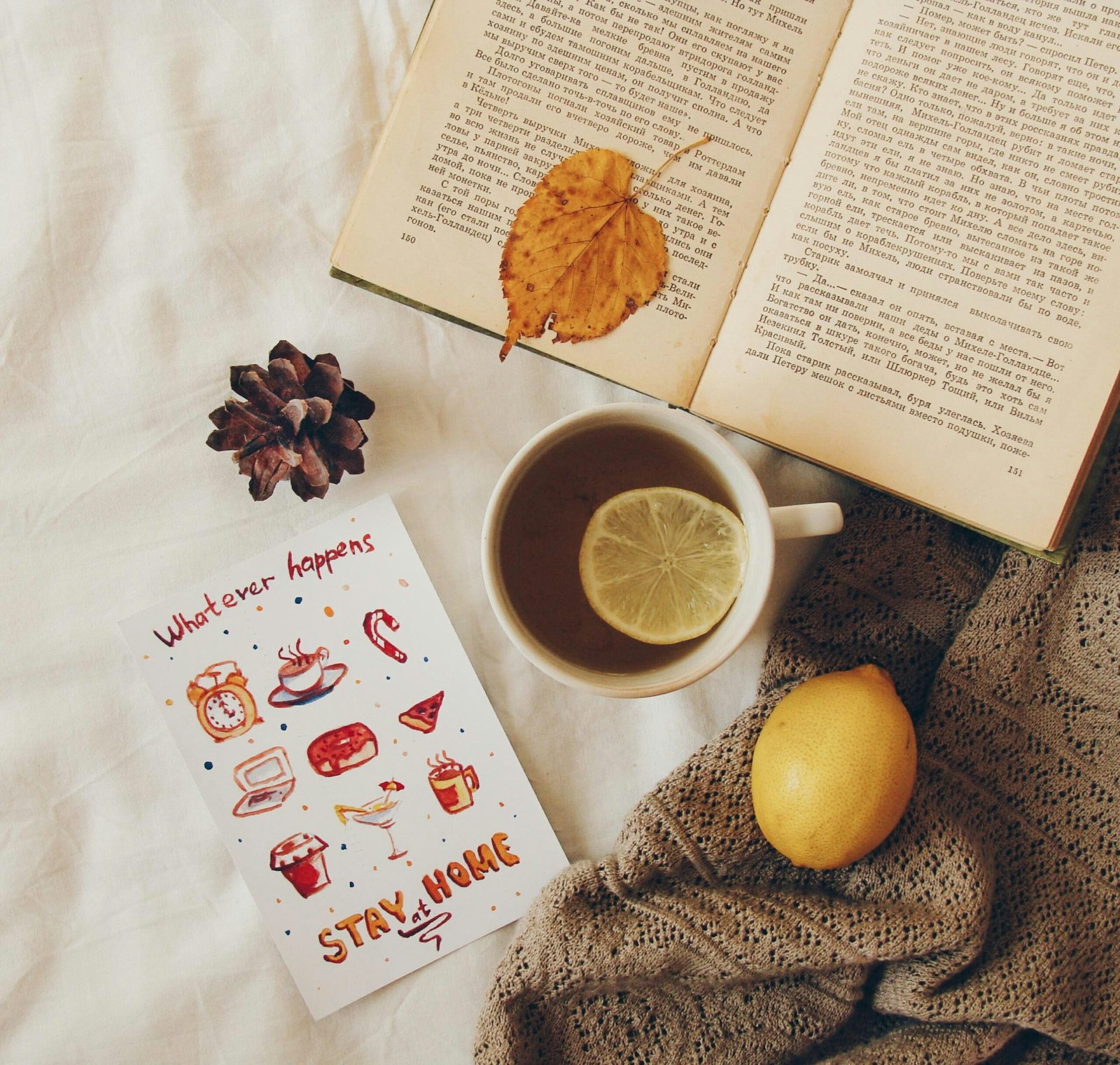 Cozy books reading mood