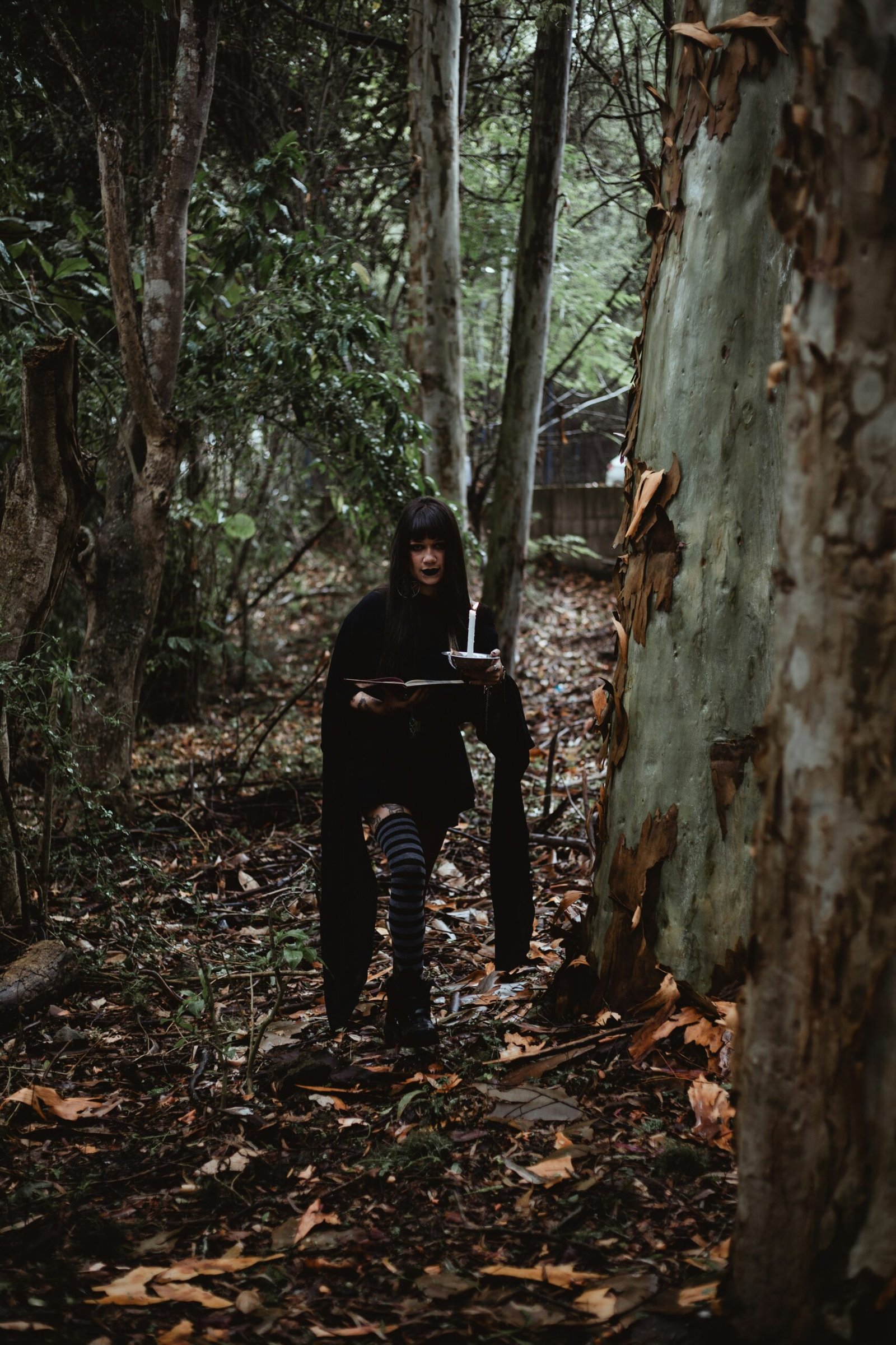 Dark books reading mood